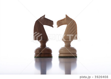 chess knights 3926408