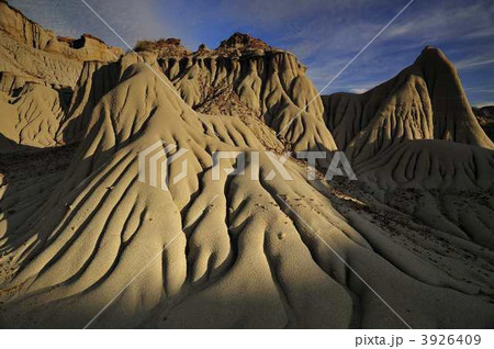 バットランド 3926409