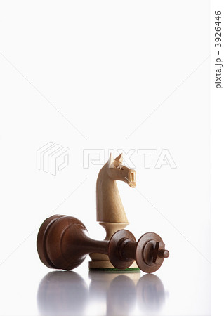 chess knights 3926446