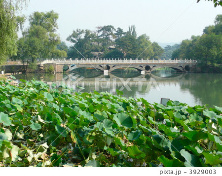 避暑山荘 池 避暑山荘 池 3929003