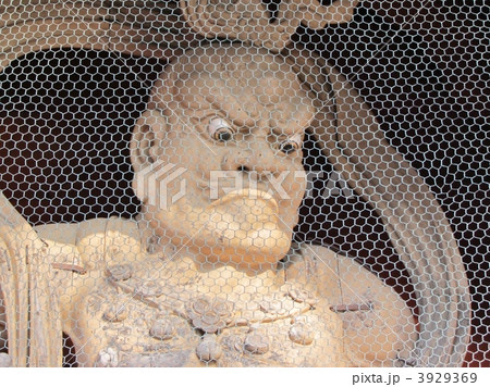 高野山　大門　金剛力士立像 3929369