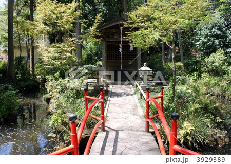真姿の池　赤い弁天橋 3929389