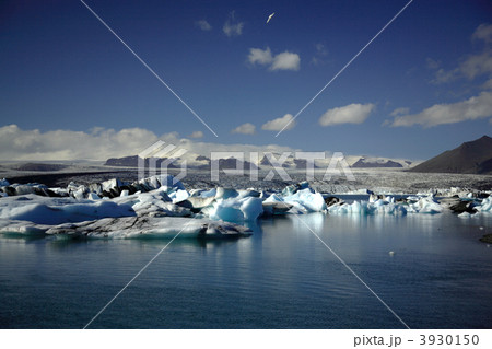 Hundreds of icebergs Hundreds of icebergs 3930150