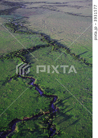 River snaking across the Masai Mara River snaking across the Masai Mara 3931577