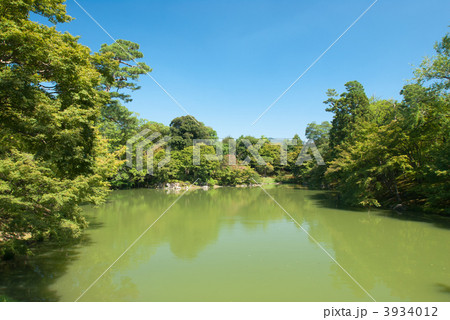 仙洞御所　北池 3934012