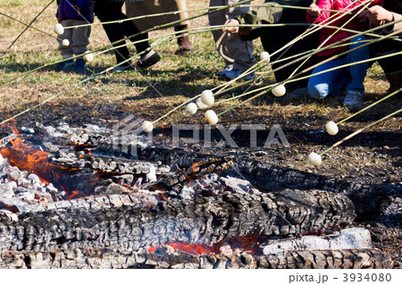 どんど焼き 3934080