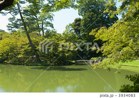 仙洞御所 北池と六枚橋 仙洞御所 北池と六枚橋 3934083