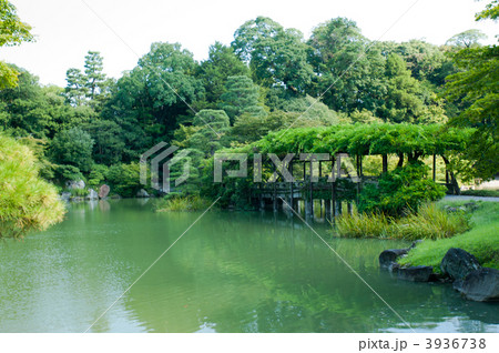 仙洞御所の南池 仙洞御所の南池 3936738