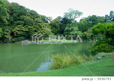 仙洞御所　南池と出島 3936743