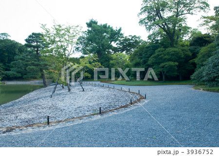 仙洞御所　南池の州浜と桜の馬場 3936752