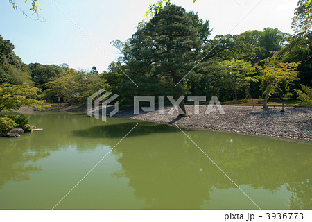 仙洞御所　南池の州浜 3936773