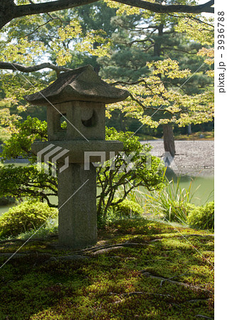仙洞御所　南池の草屋形の燈籠 3936788