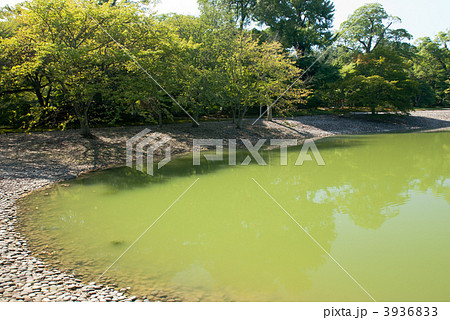 仙洞御所　醒花亭から見た洲浜と南池 3936833
