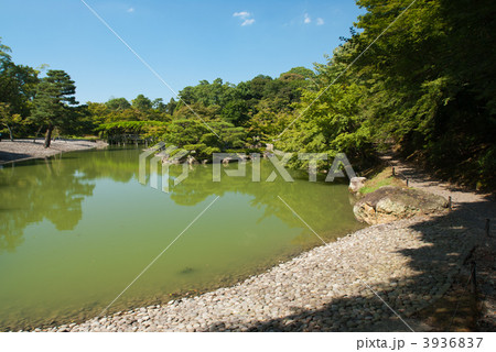 仙洞御所　南池の州浜と葭島 3936837