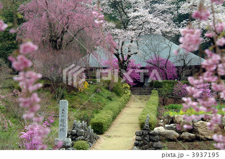 あきる野市　龍殊院 3937195