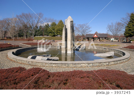 あきる野市　秋留台公園 3937245