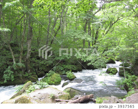 奥入瀬渓流 奥入瀬渓流 3937565