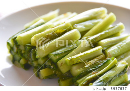 野沢菜 3937637