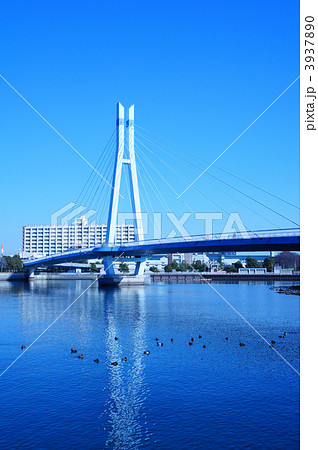 辰巳桜橋 3937890