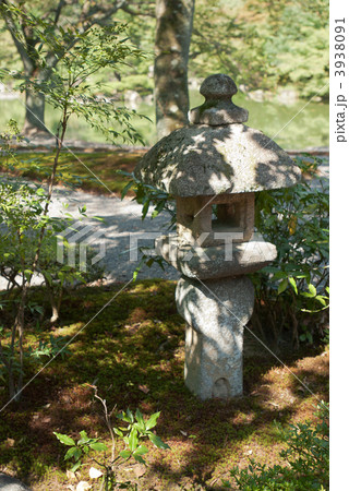 仙洞御所 醒花亭前の石灯籠 仙洞御所 醒花亭前の石灯籠 3938091