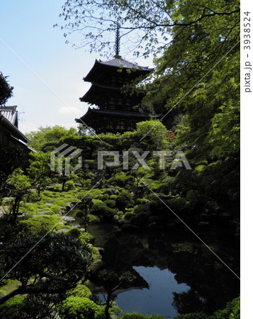 当麻寺 西南宝院の庭池に映る西塔 当麻寺 西南宝院の庭池に映る西塔 3938524