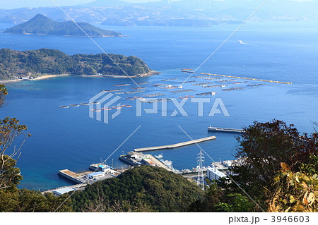 天草牛深湾 3946603