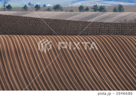 連なる春の丘風景 3946686