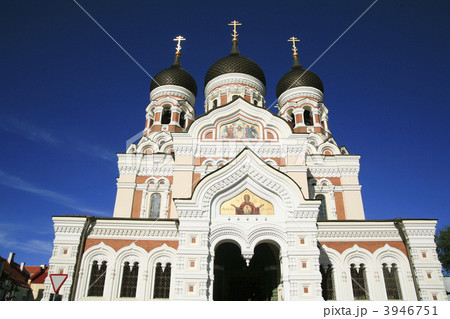 タリンにて 3946751