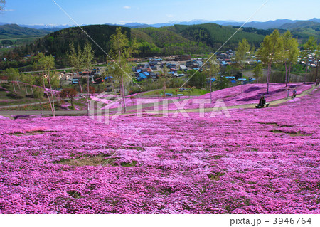 滝上町の街並みと芝桜 3946764
