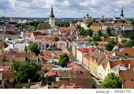 タリンにて 3946770