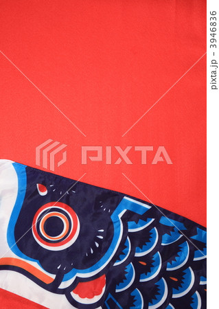 鯉のぼり 鯉のぼり 3946836