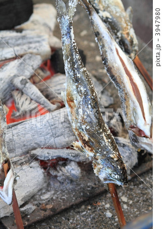 ヤマメ串焼き 3947980