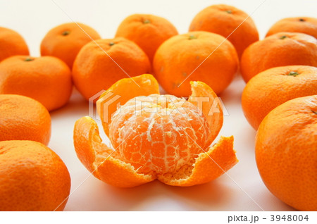 みかん みかん 3948004