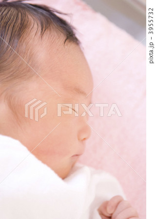新生児 新生児 3955732
