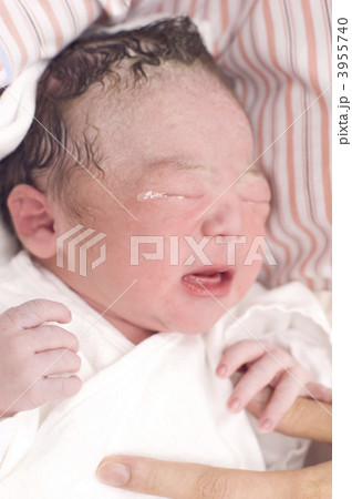 新生児 3955740