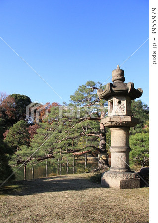 六義園 六義園 3955979