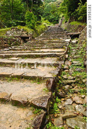 安土城址の「大手道」（滋賀県近江八幡市安土町） 3956181