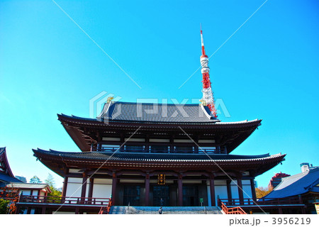 増上寺の本堂と東京タワー（東京都港区芝公園） 3956219