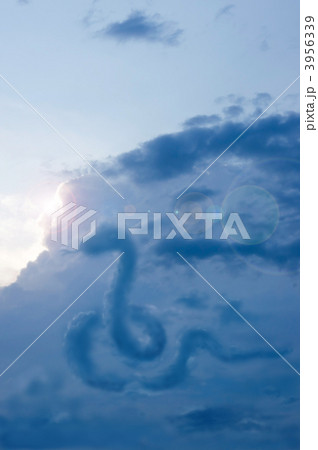 蛇雲 蛇雲 3956339