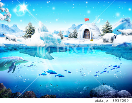 冬1254065_ksh 冬1254065_ksh 3957099