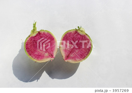 紅芯大根 3957269