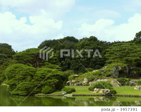 六義園 六義園 3957391