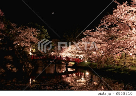 夜の弘前公園と夜桜 夜の弘前公園と夜桜 3958210