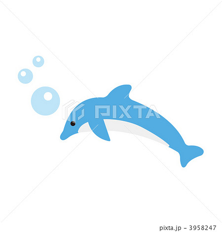 海豚 海の生き物 イルカのイラスト素材