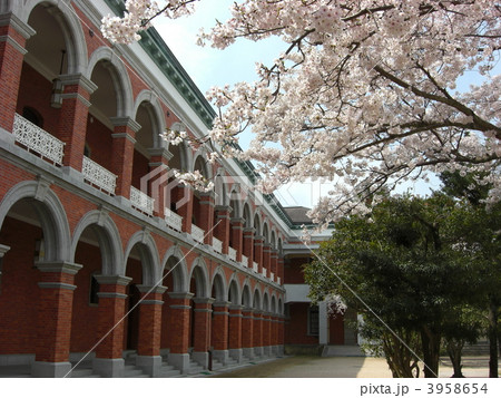 赤レンガと同期の桜（江田島海軍兵学校） 3958654