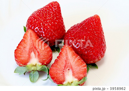 イチゴ・あまおう 3958962