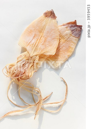 剣先するめ 3959453