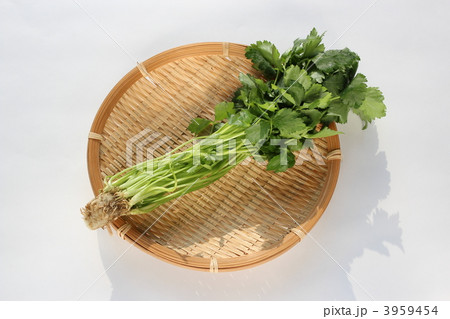 三つ葉 3959454