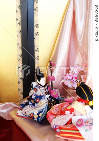 水入らずの雛人形・縦位置 3960503