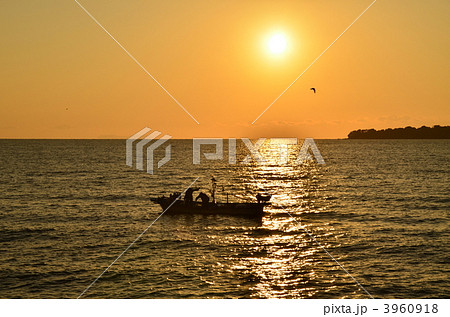 はじまり 3960918